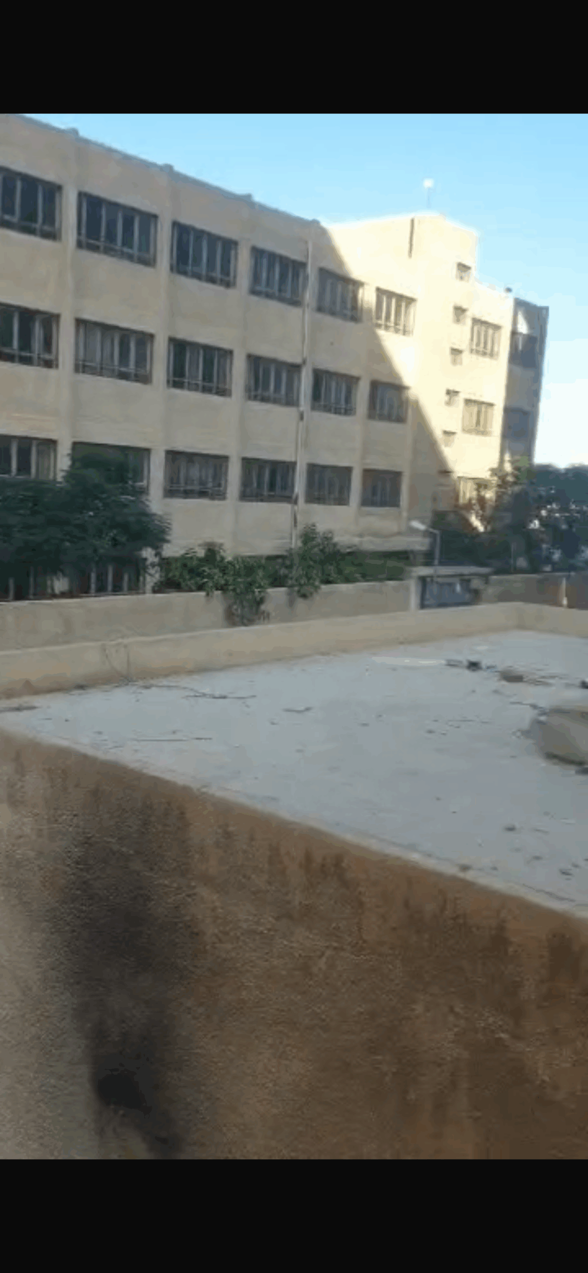 الصورة