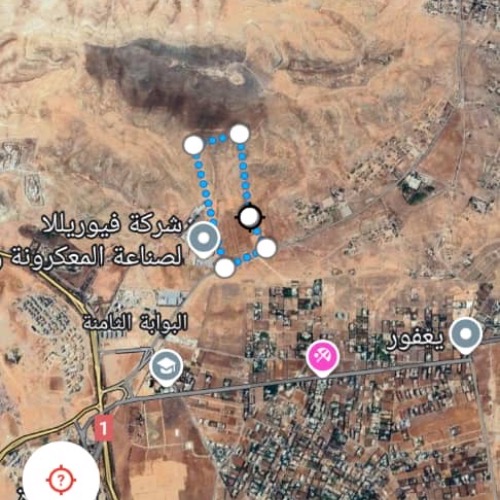 الصورة