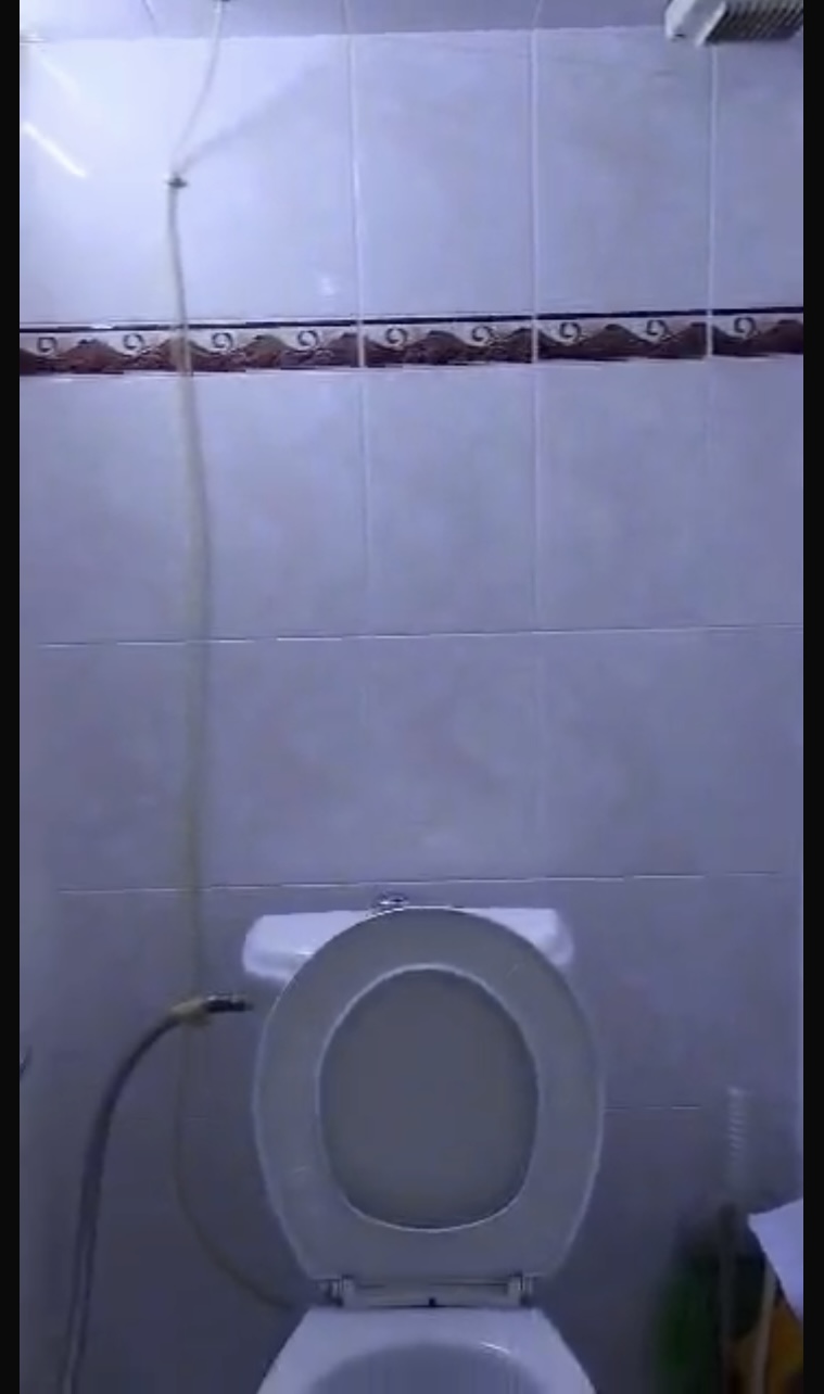الصورة