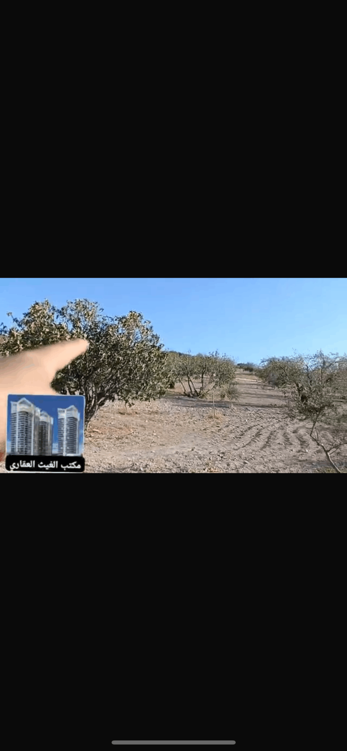 الصورة