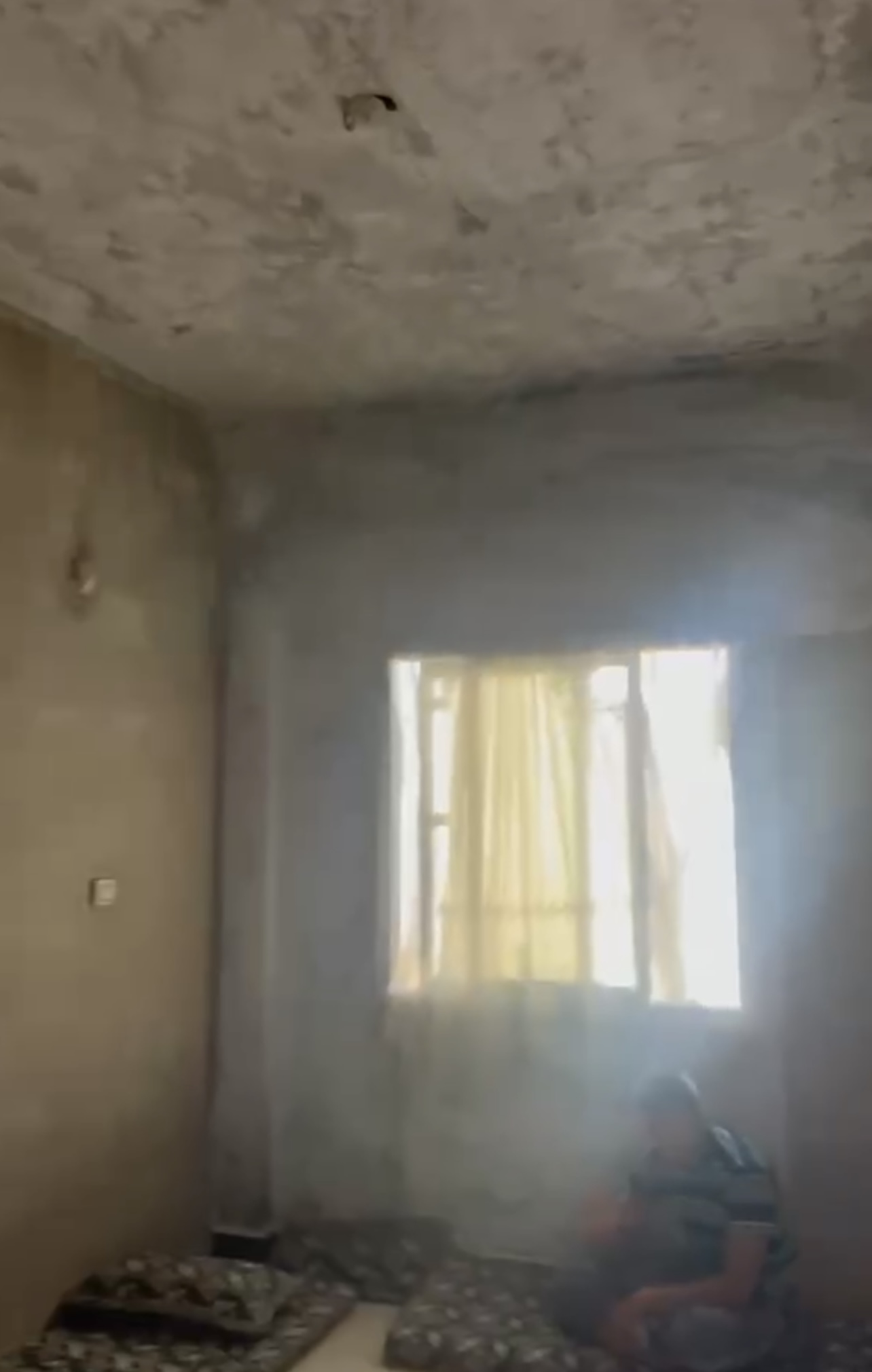 الصورة