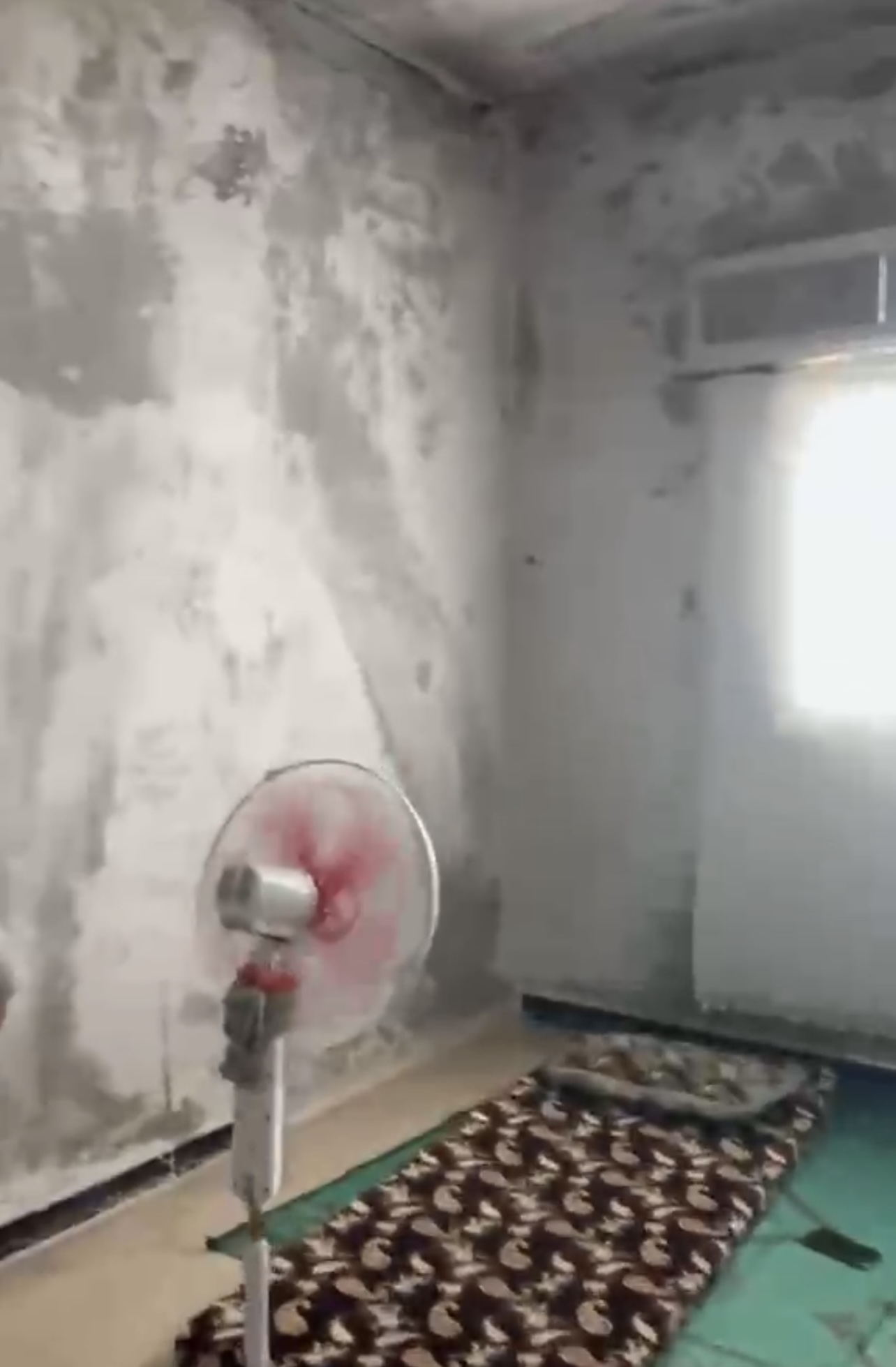 الصورة
