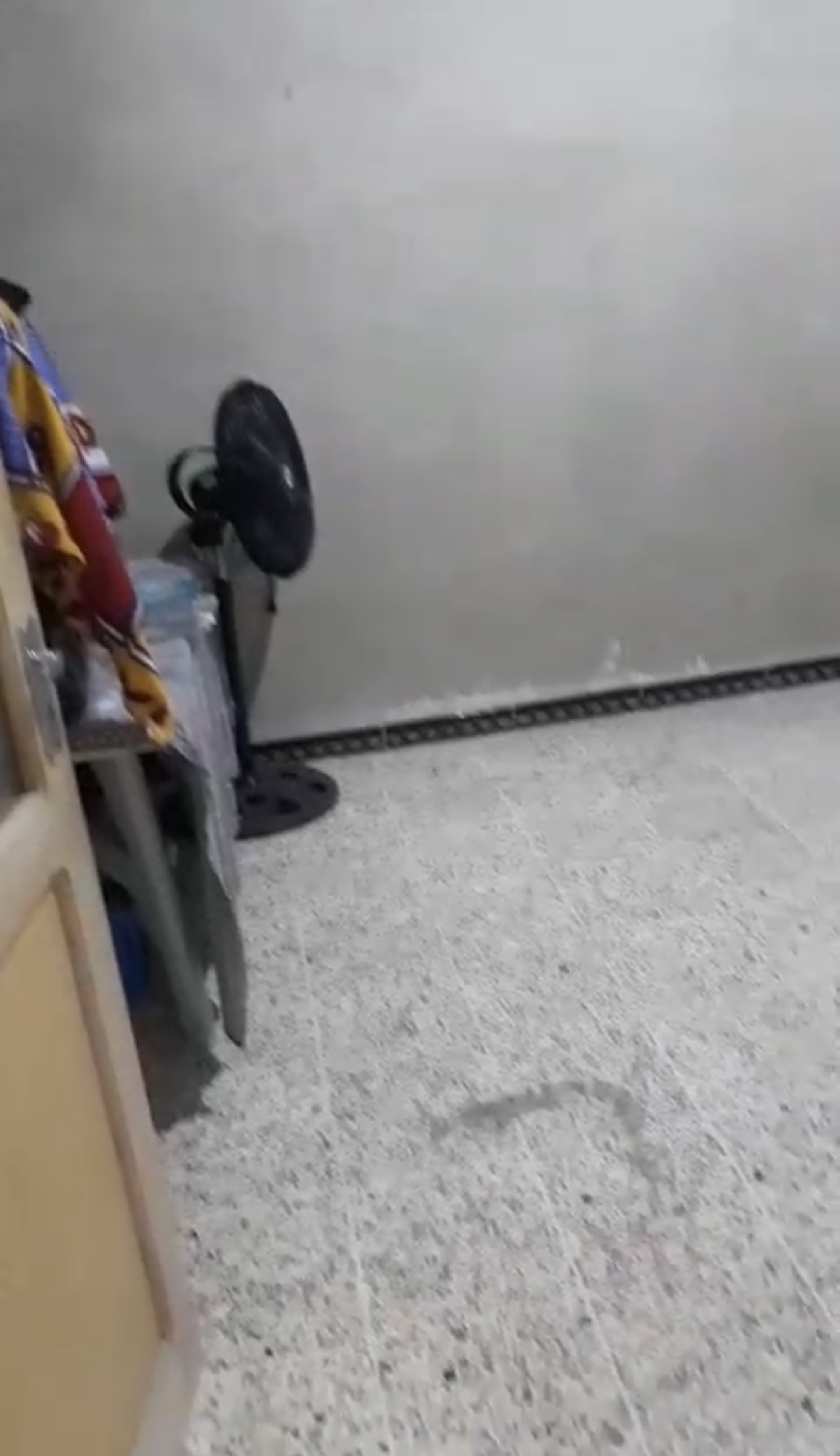الصورة