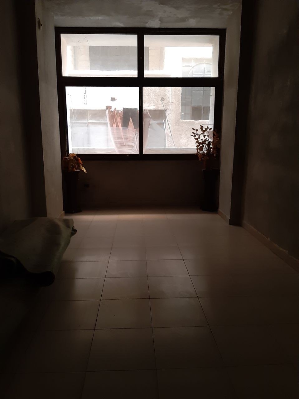 الصورة