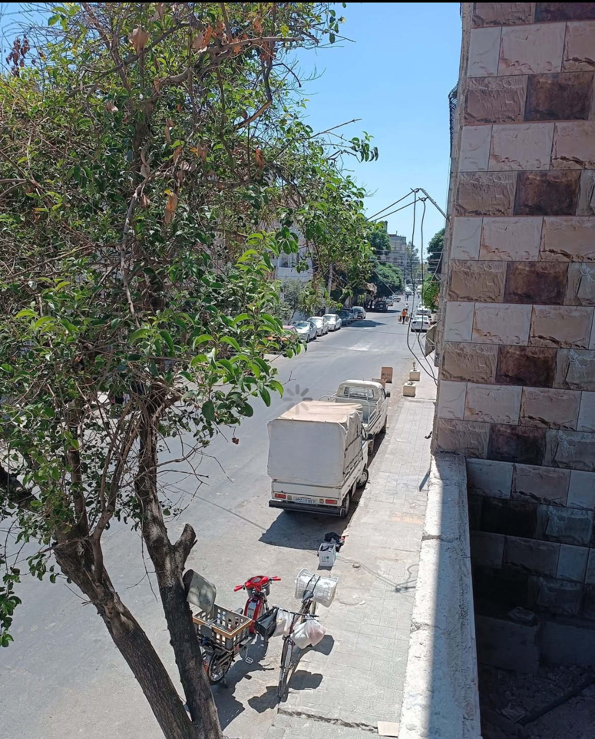 الصورة