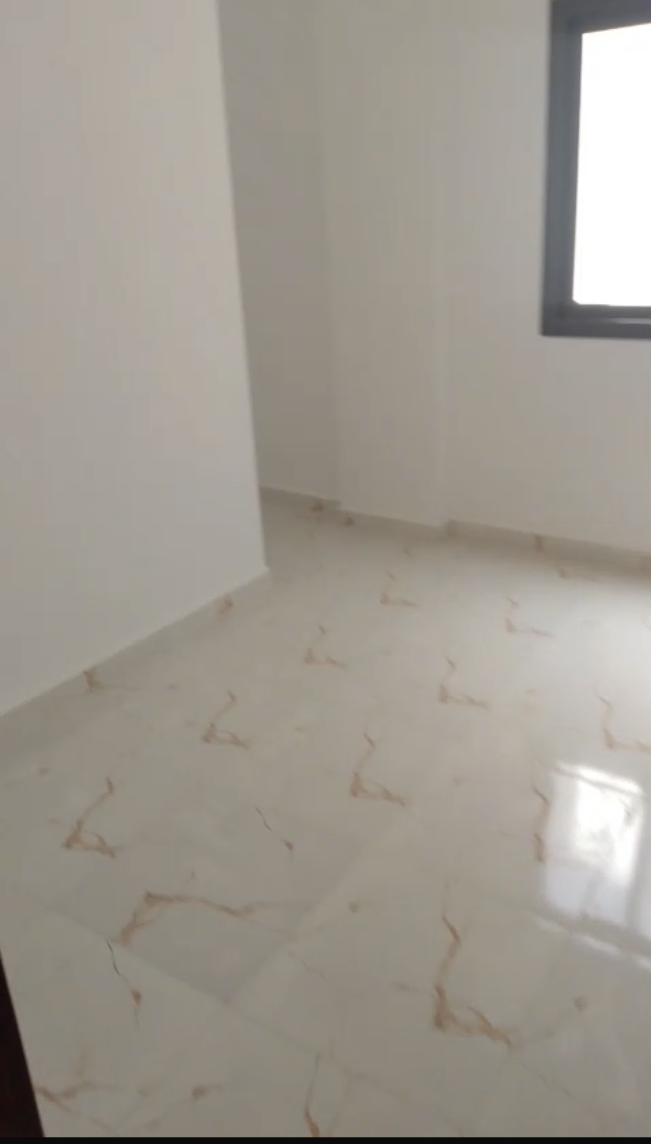 الصورة
