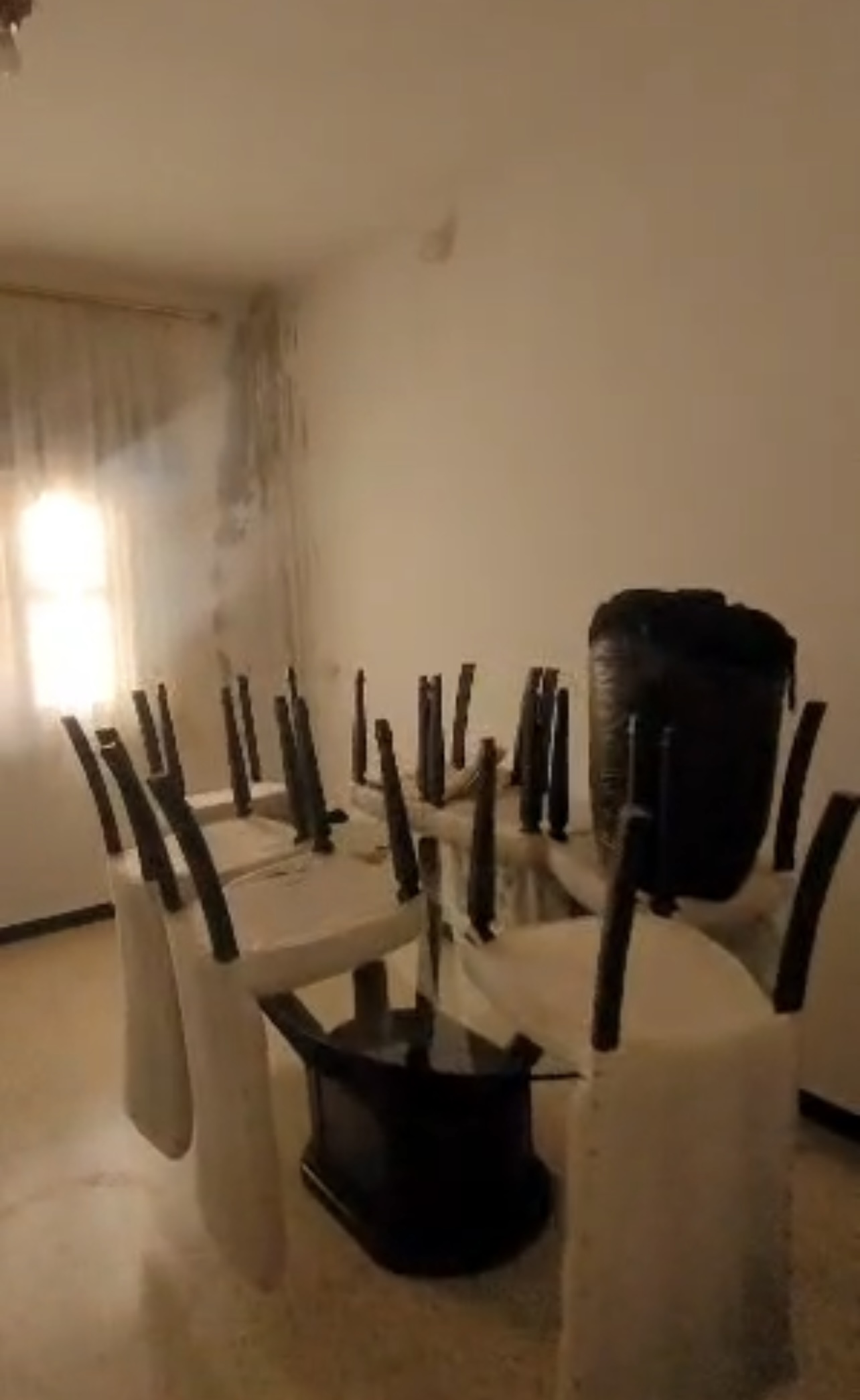 الصورة