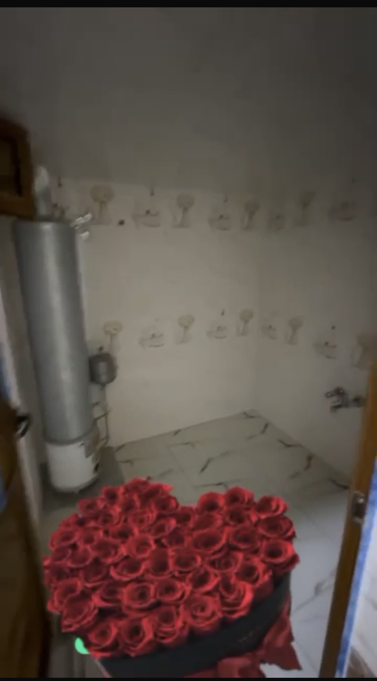الصورة