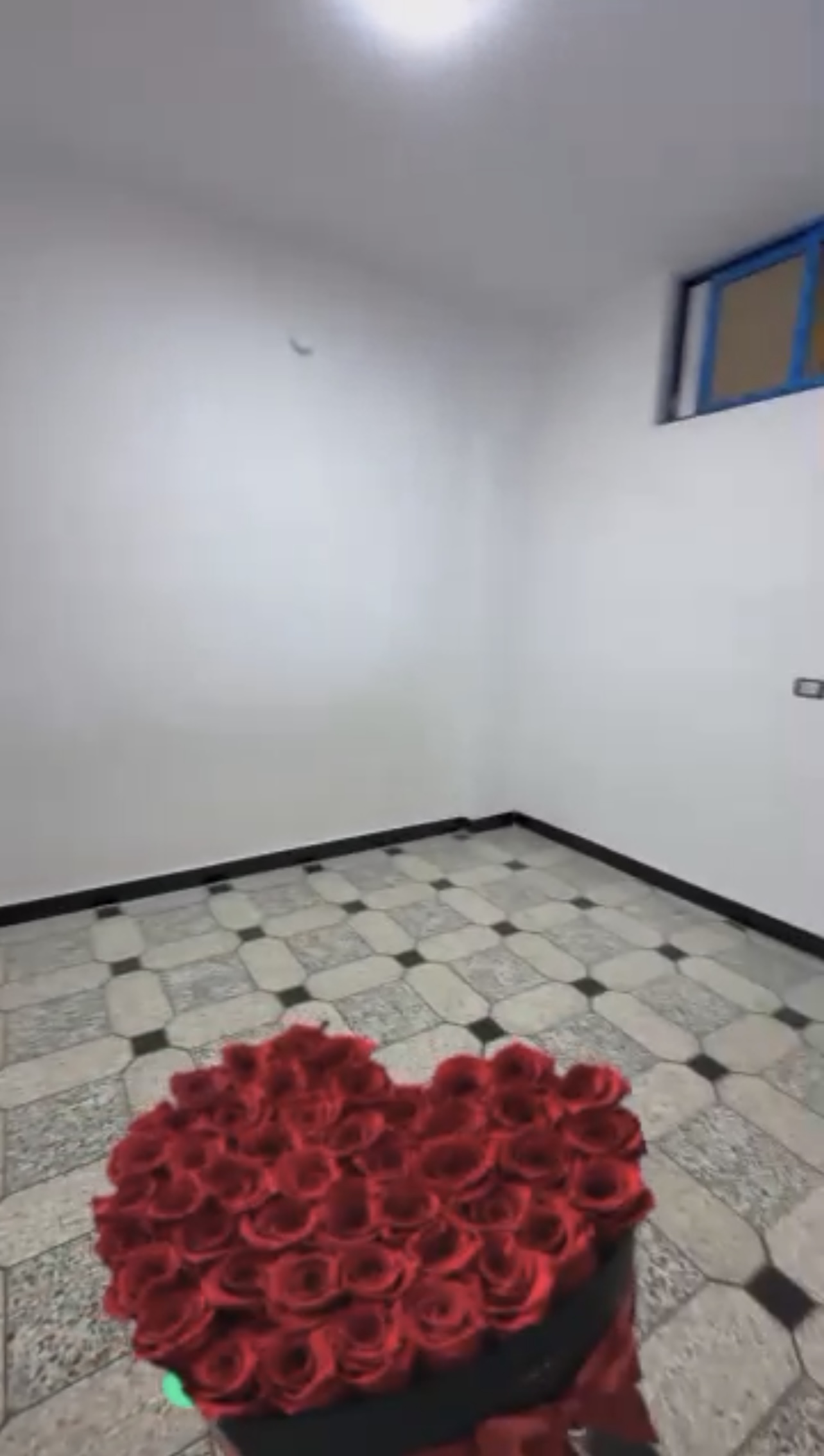 الصورة