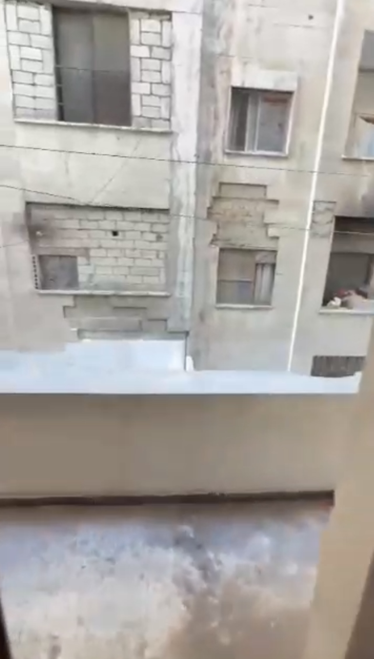 الصورة