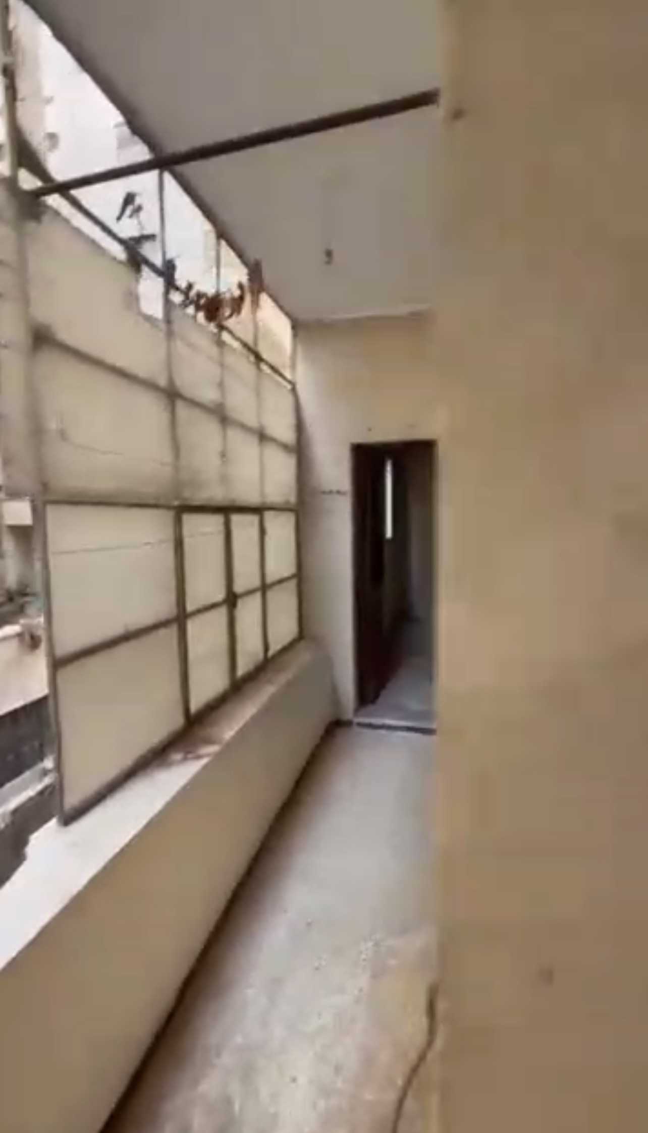 الصورة