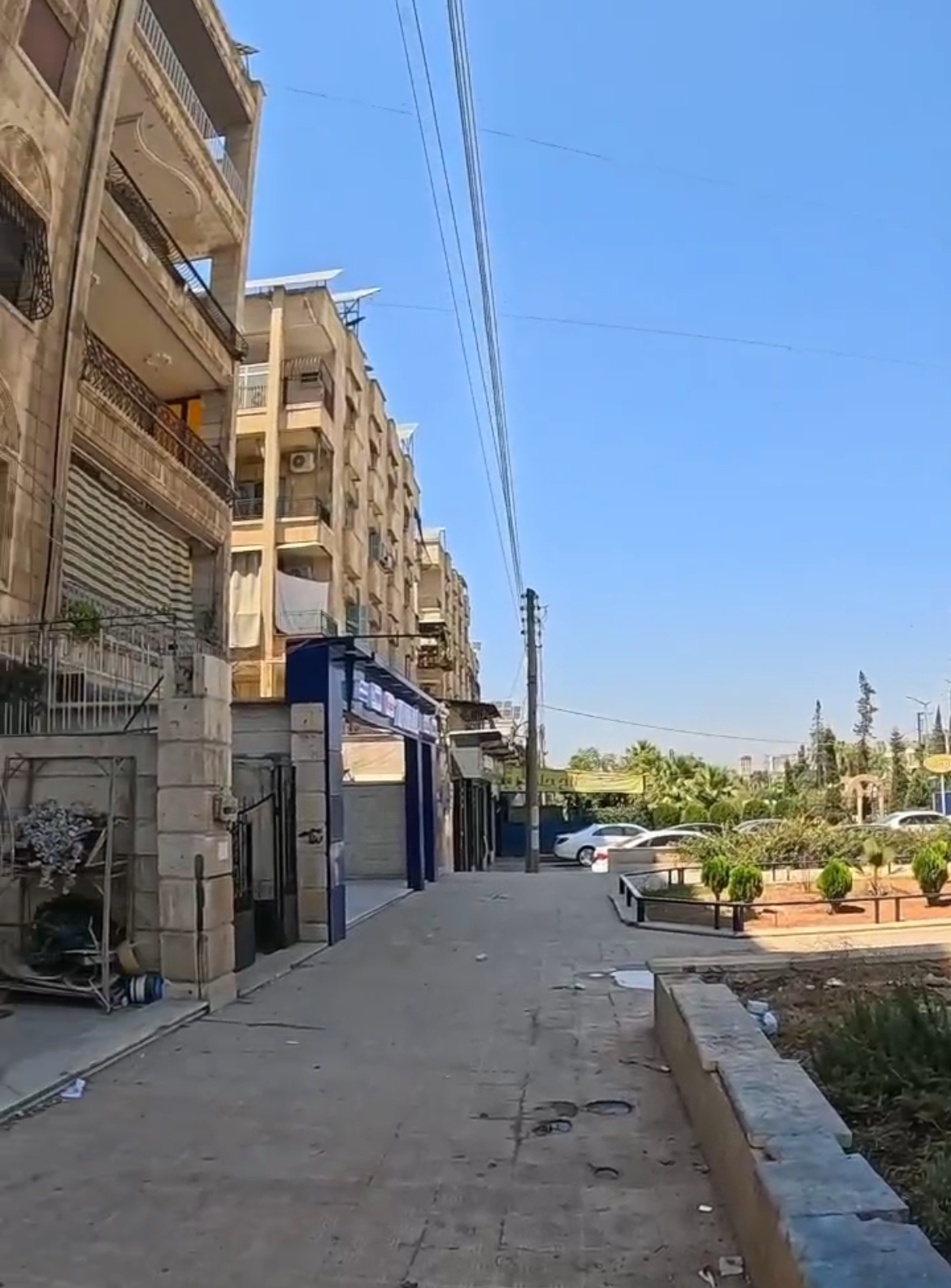 الصورة