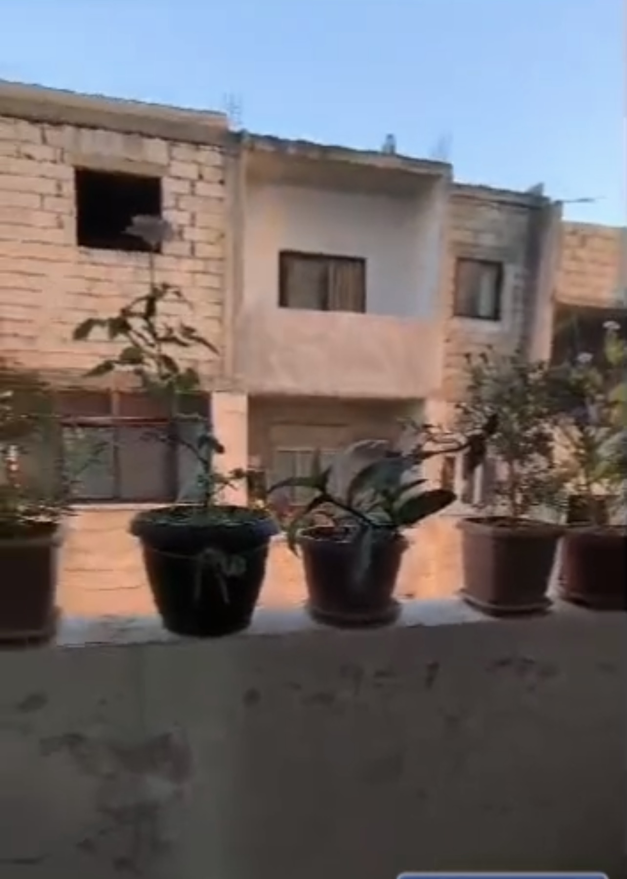 الصورة