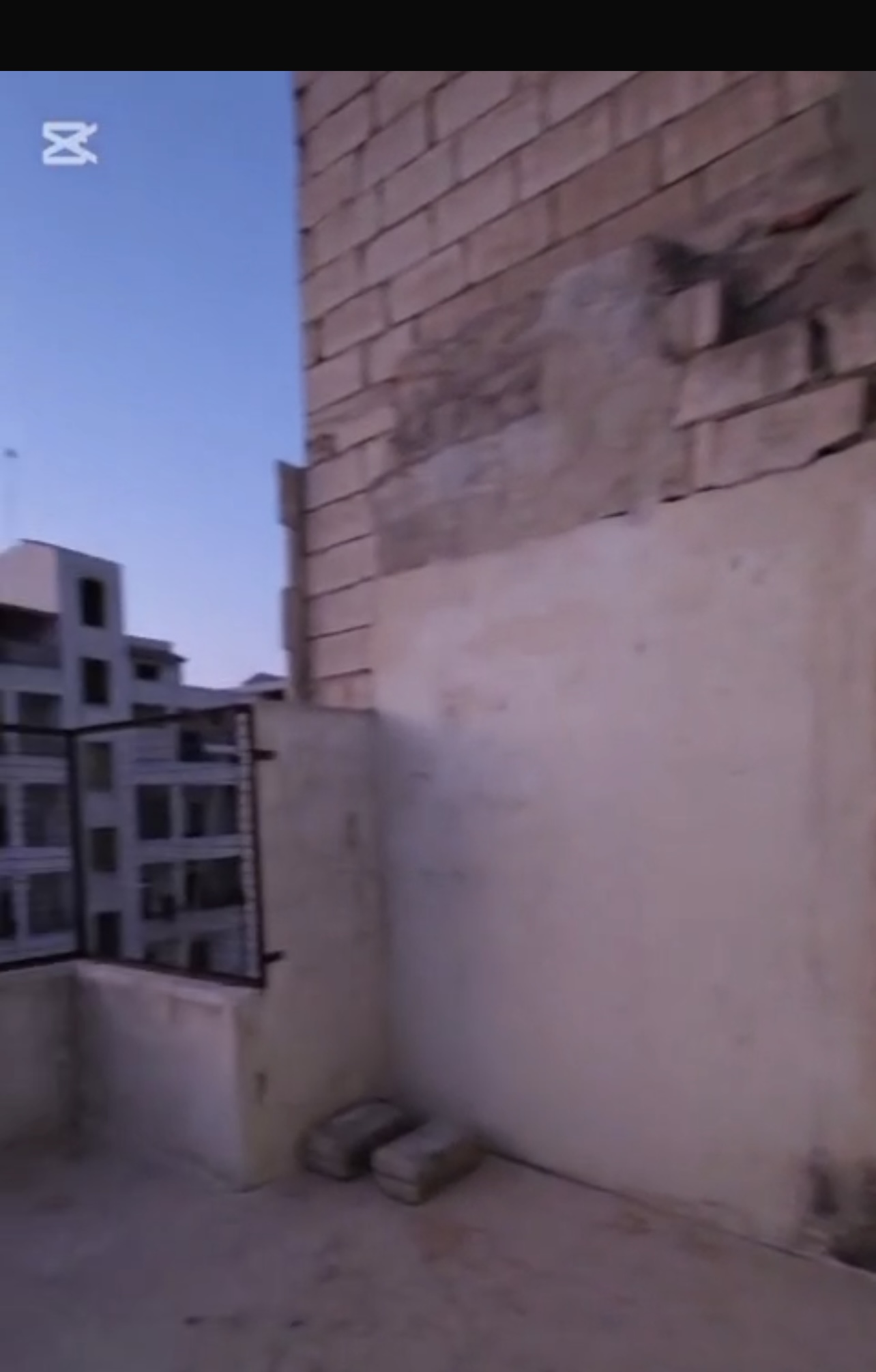 الصورة