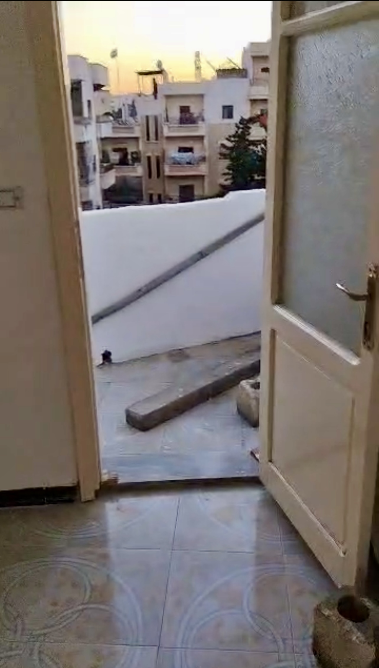 الصورة