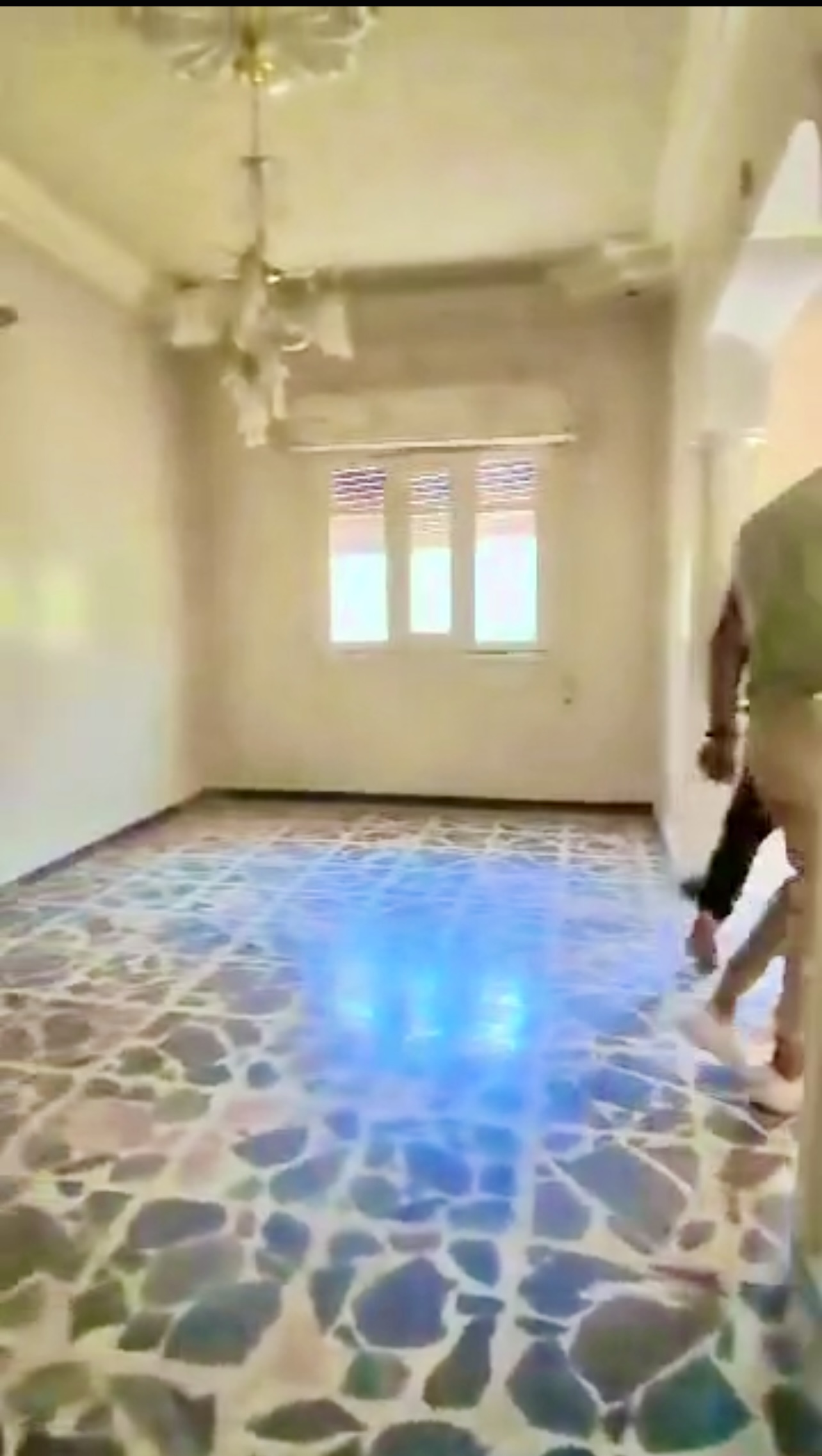 الصورة
