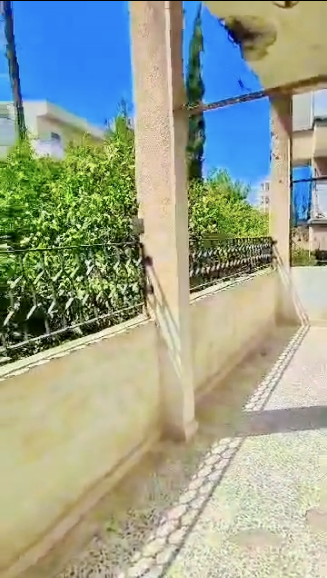 الصورة