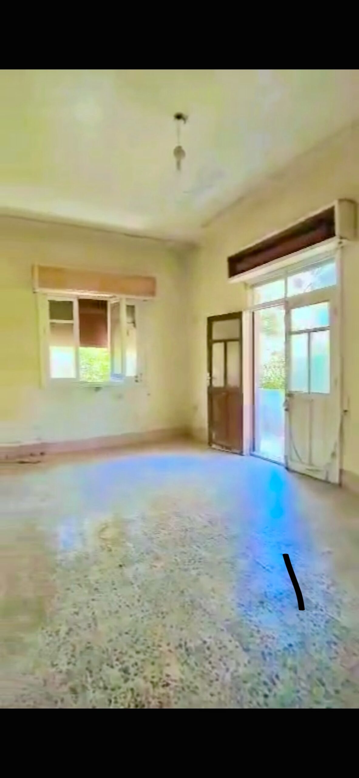الصورة