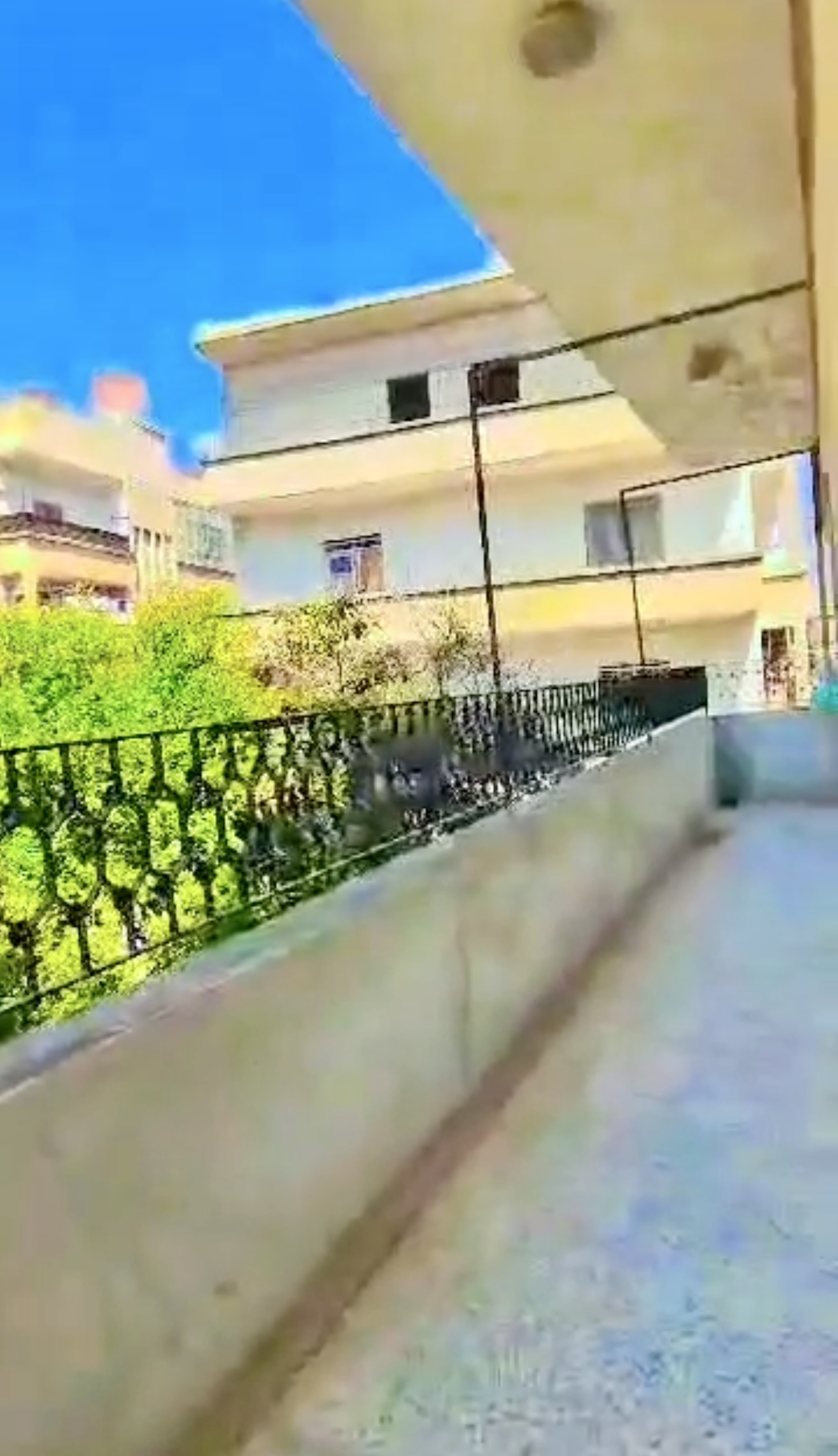 الصورة