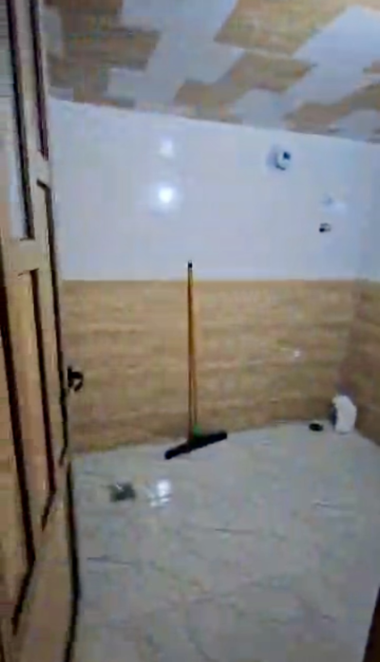 الصورة