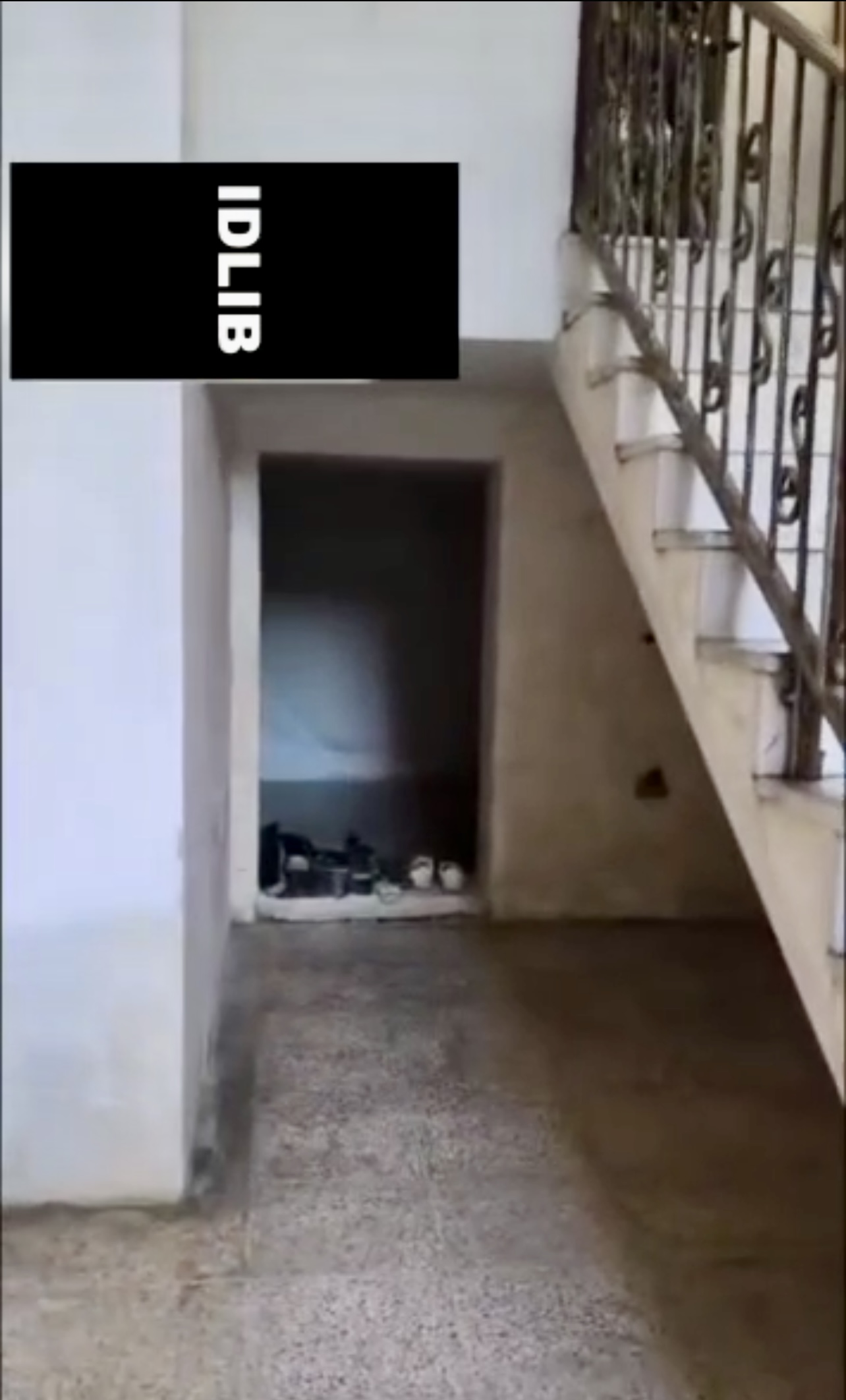 الصورة