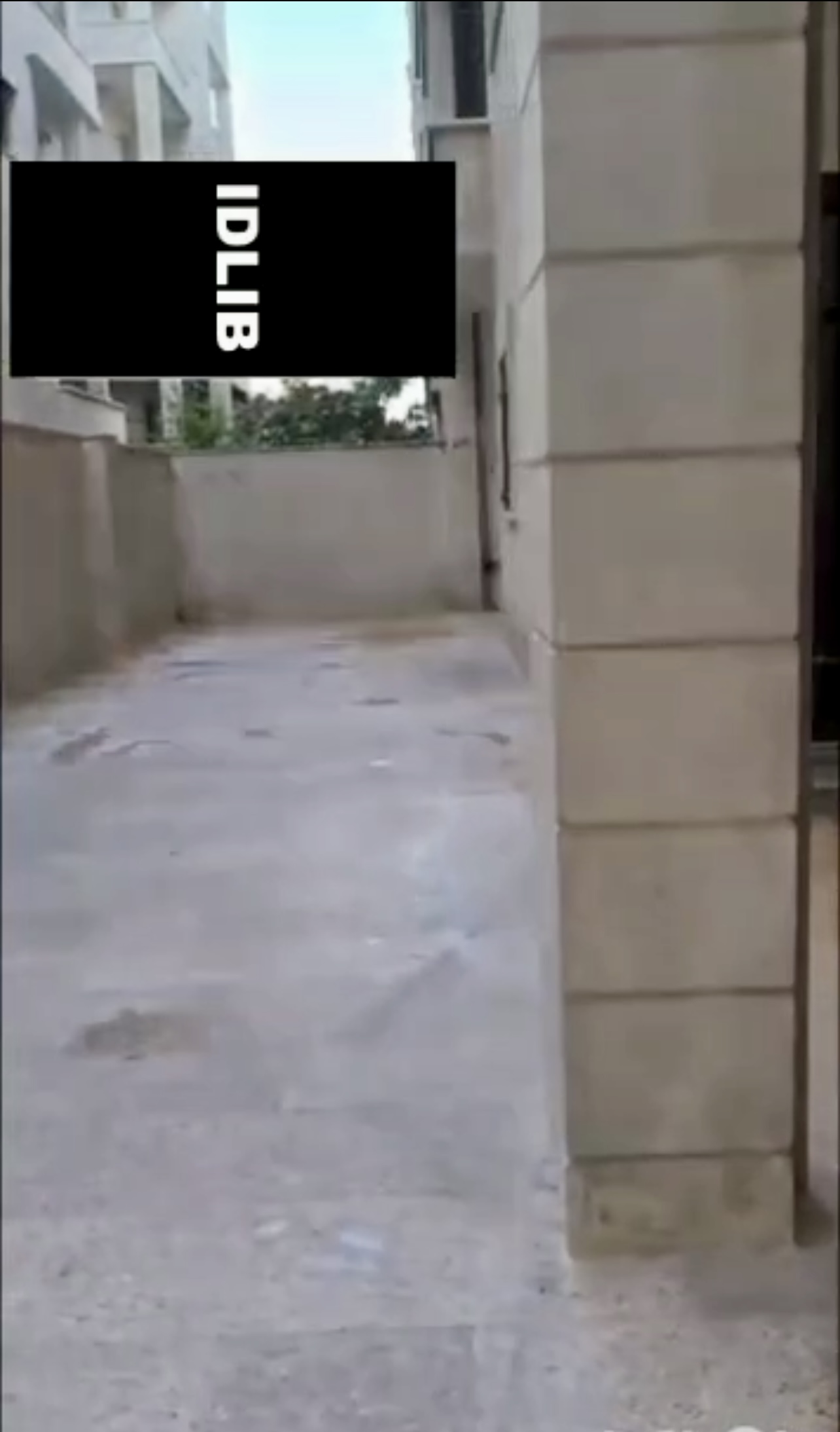 الصورة