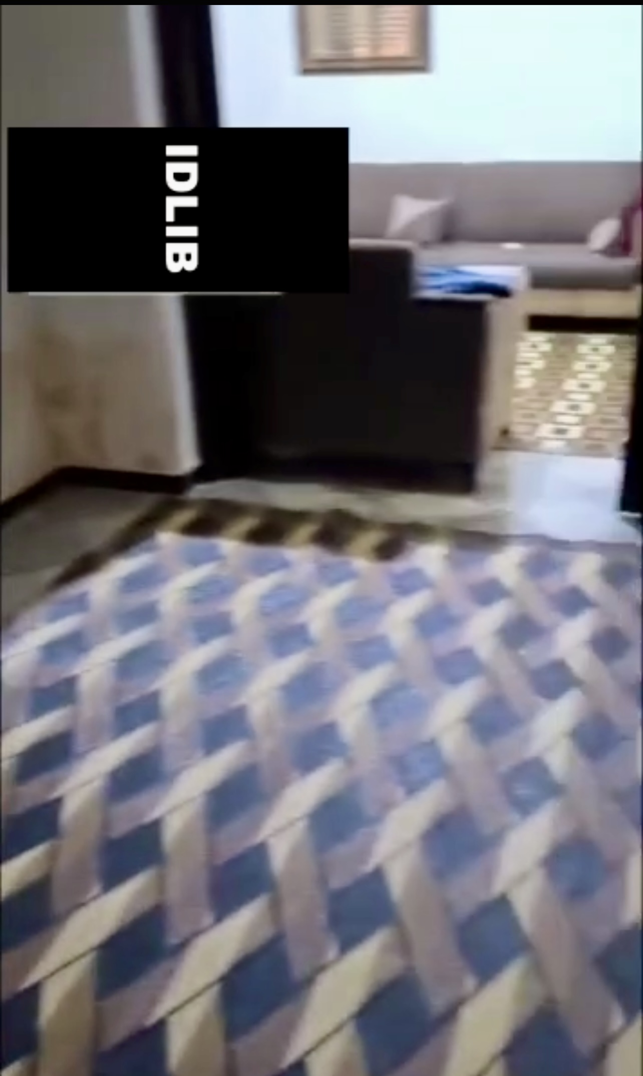 الصورة