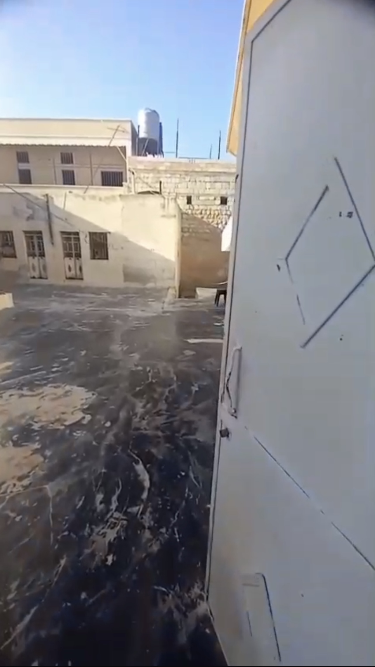 الصورة