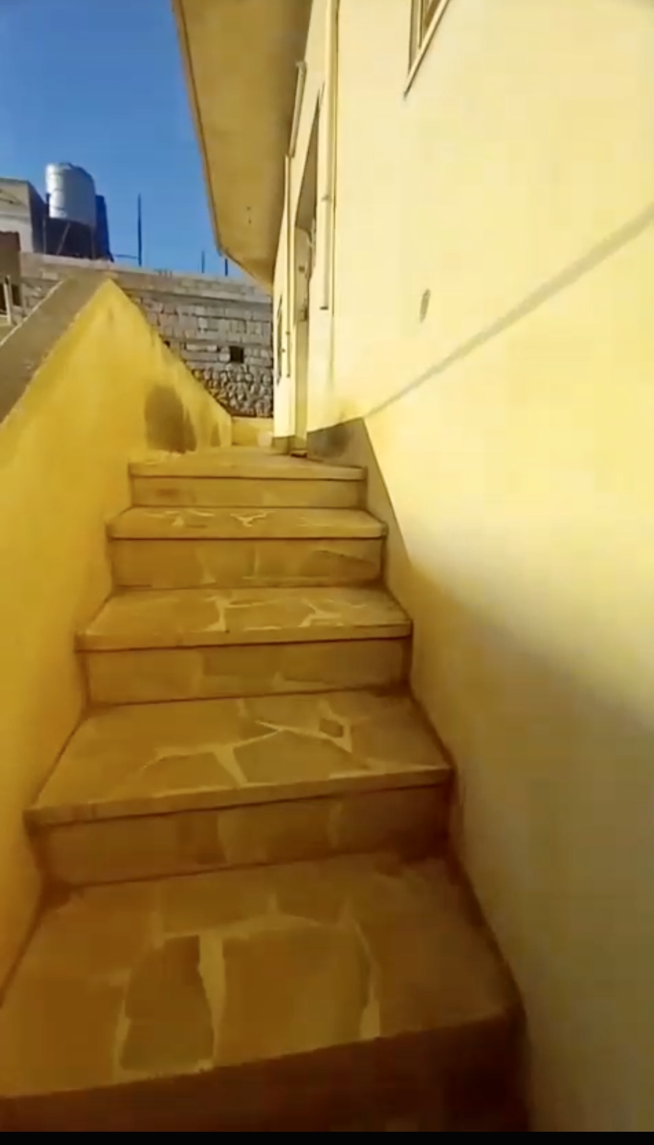 الصورة