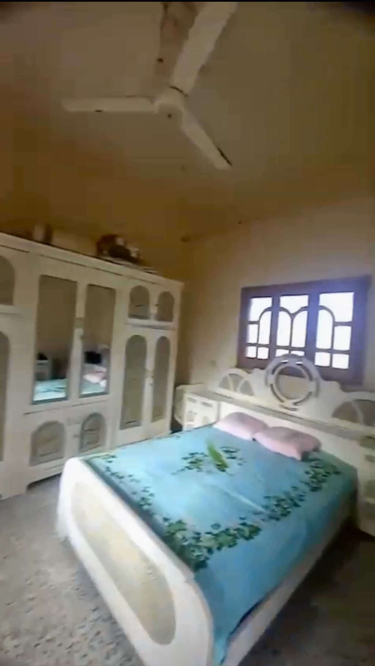 الصورة