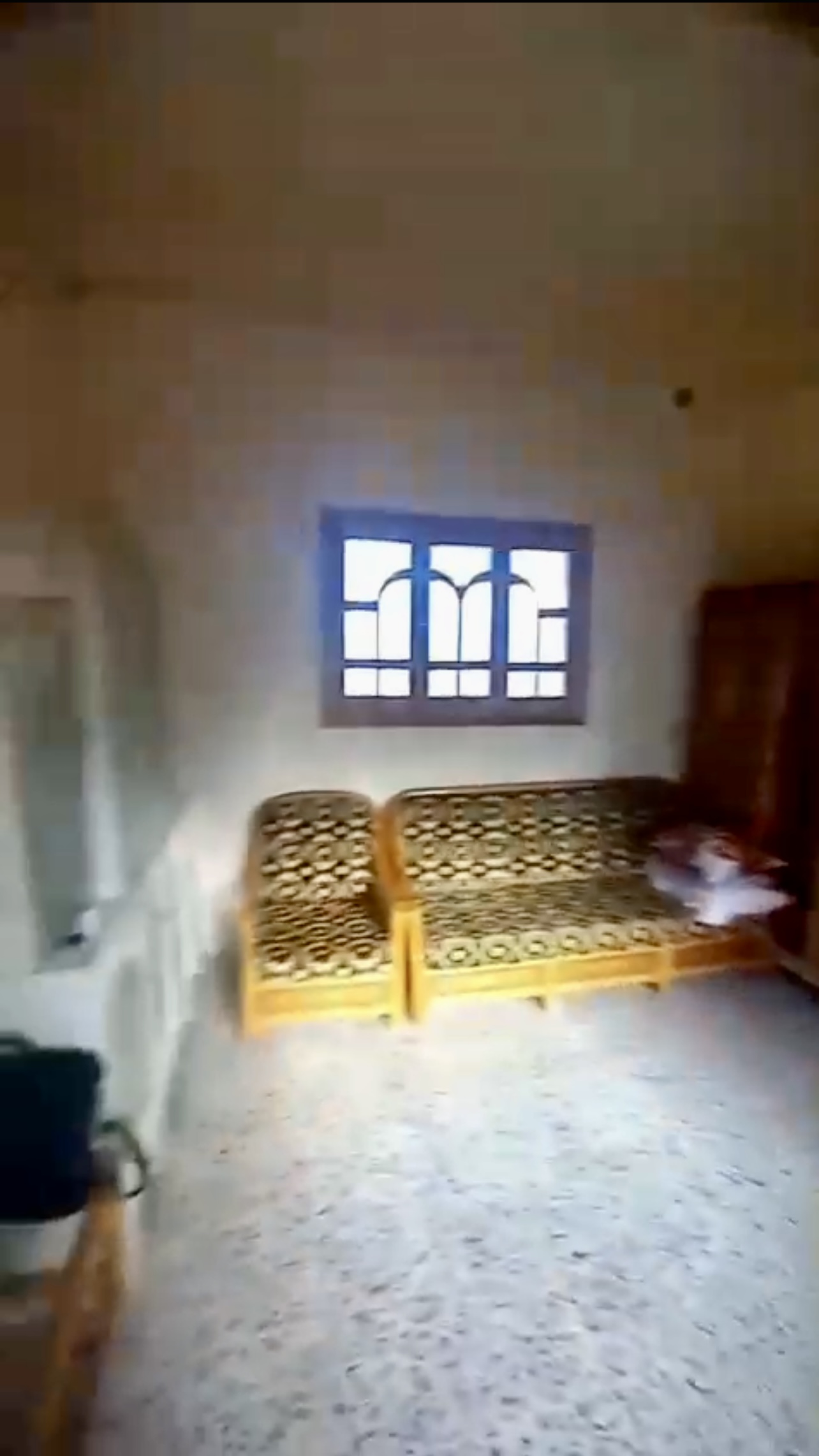 الصورة
