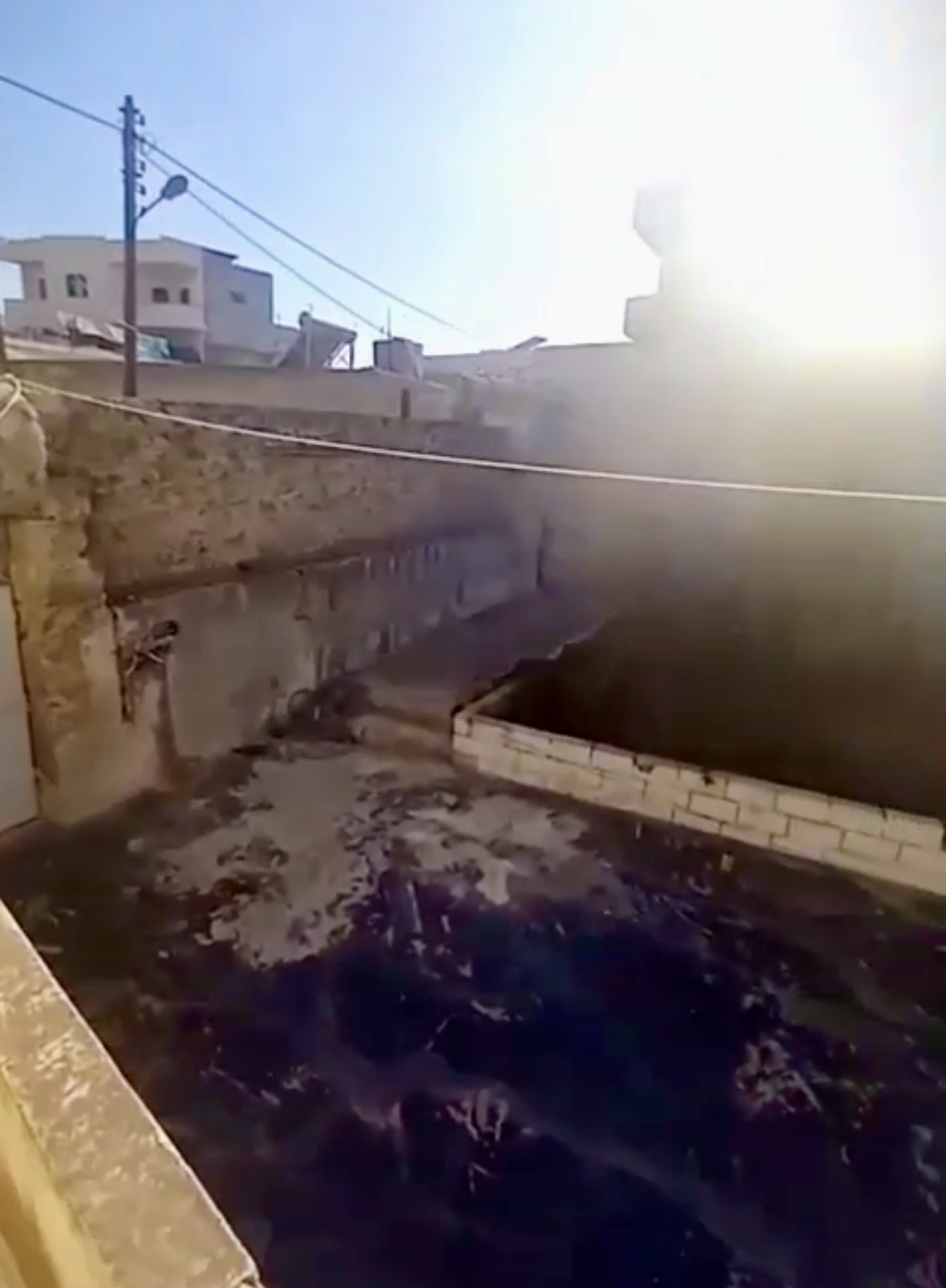 الصورة