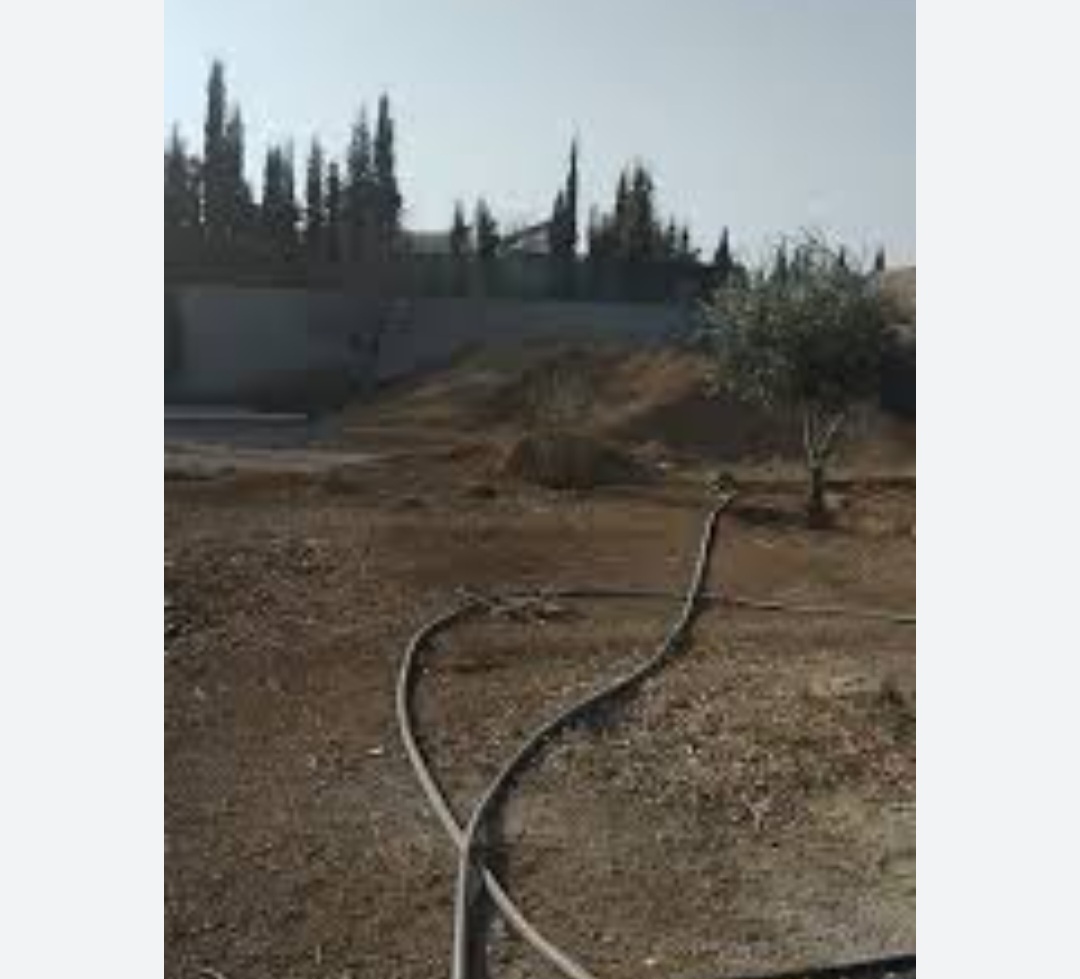 الصورة