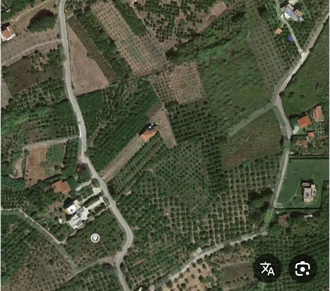 الصورة