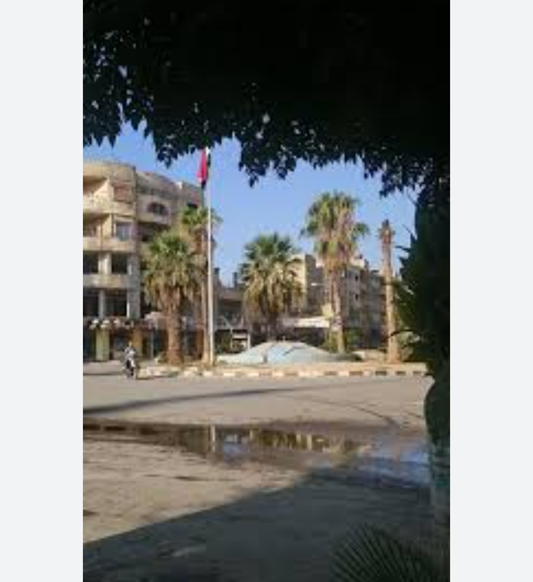 الصورة