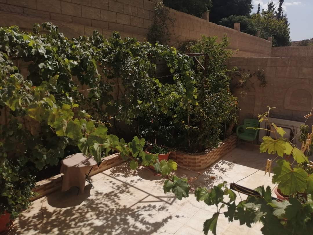 الصورة