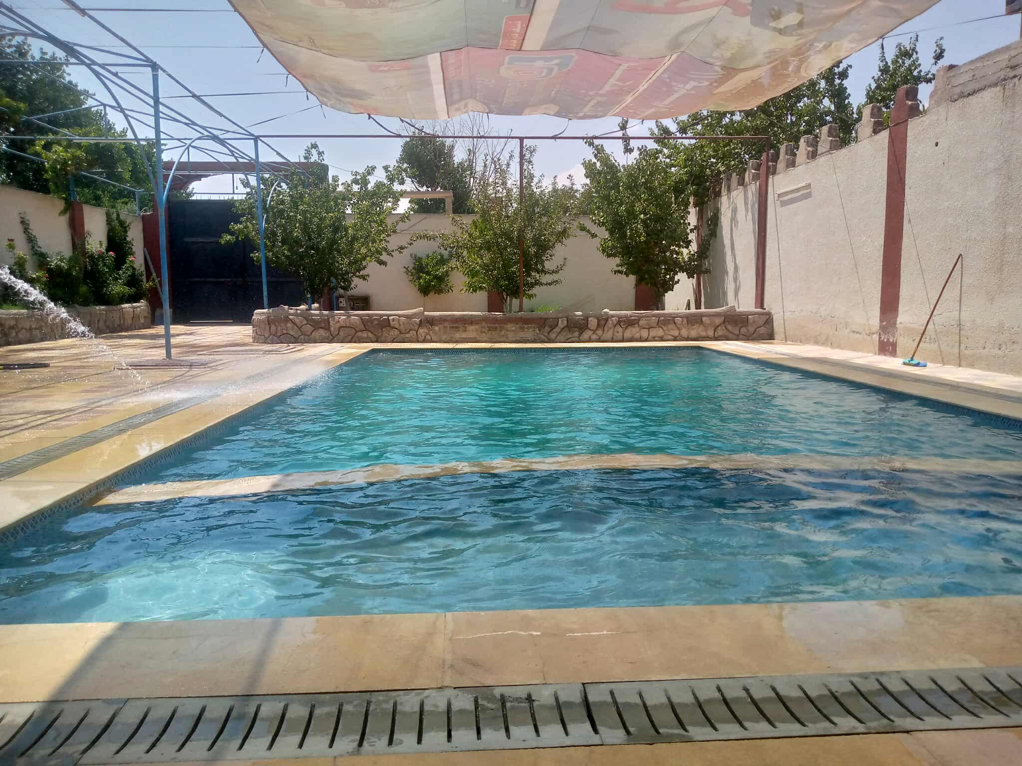 الصورة