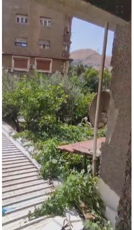 الصورة