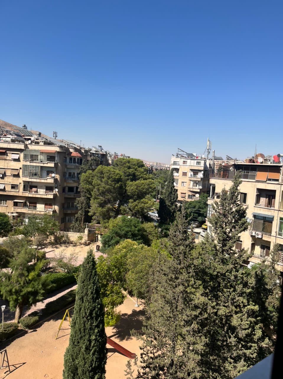 الصورة