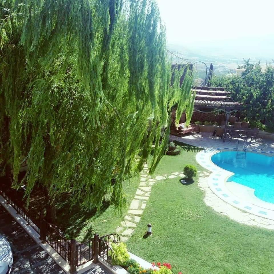 الصورة