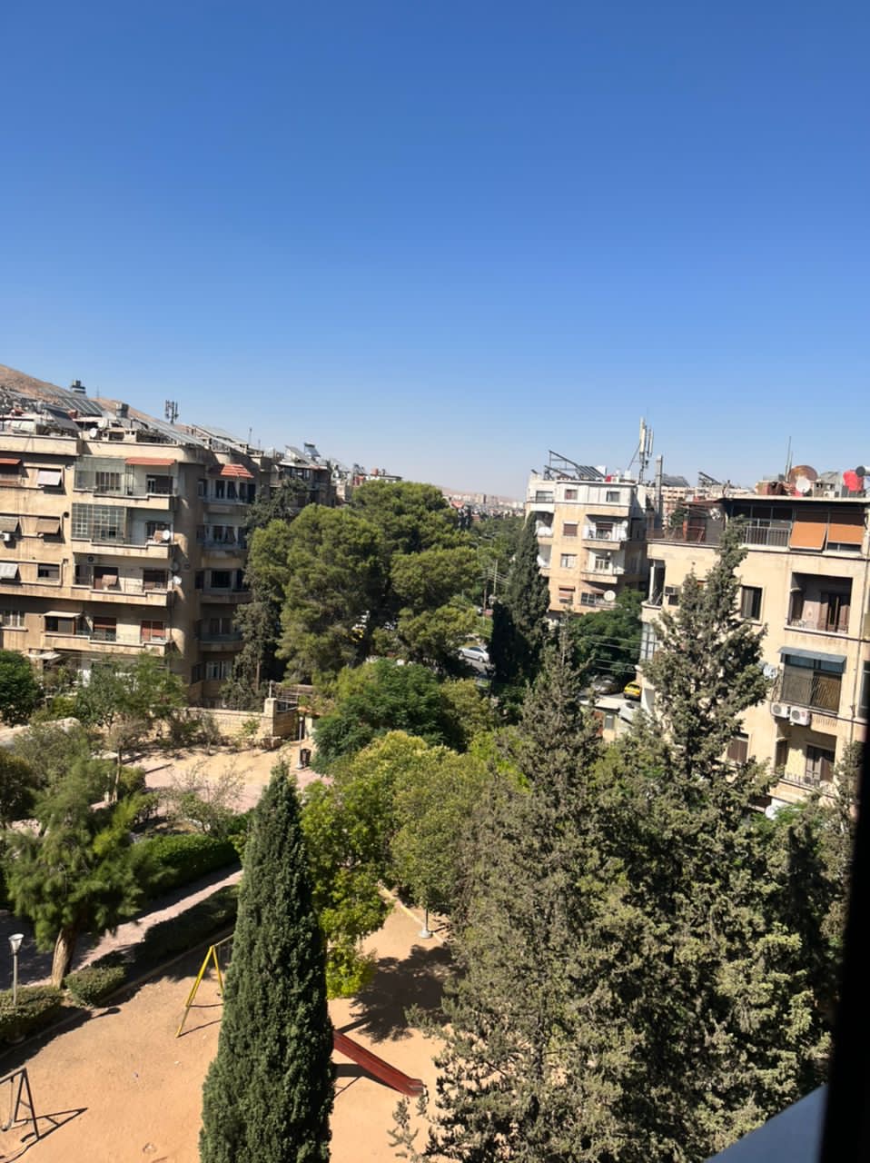 الصورة