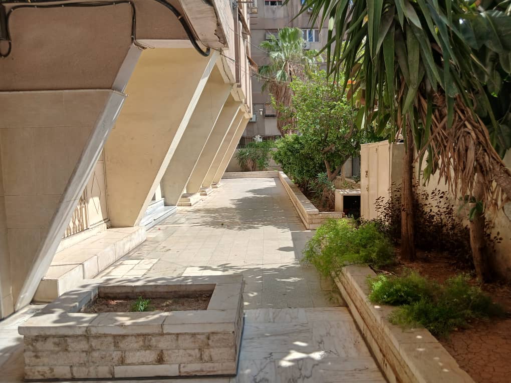 الصورة