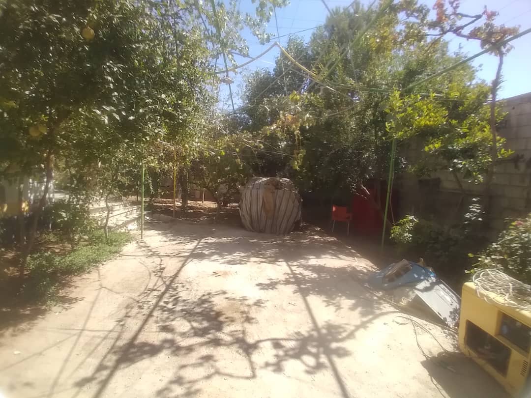 الصورة