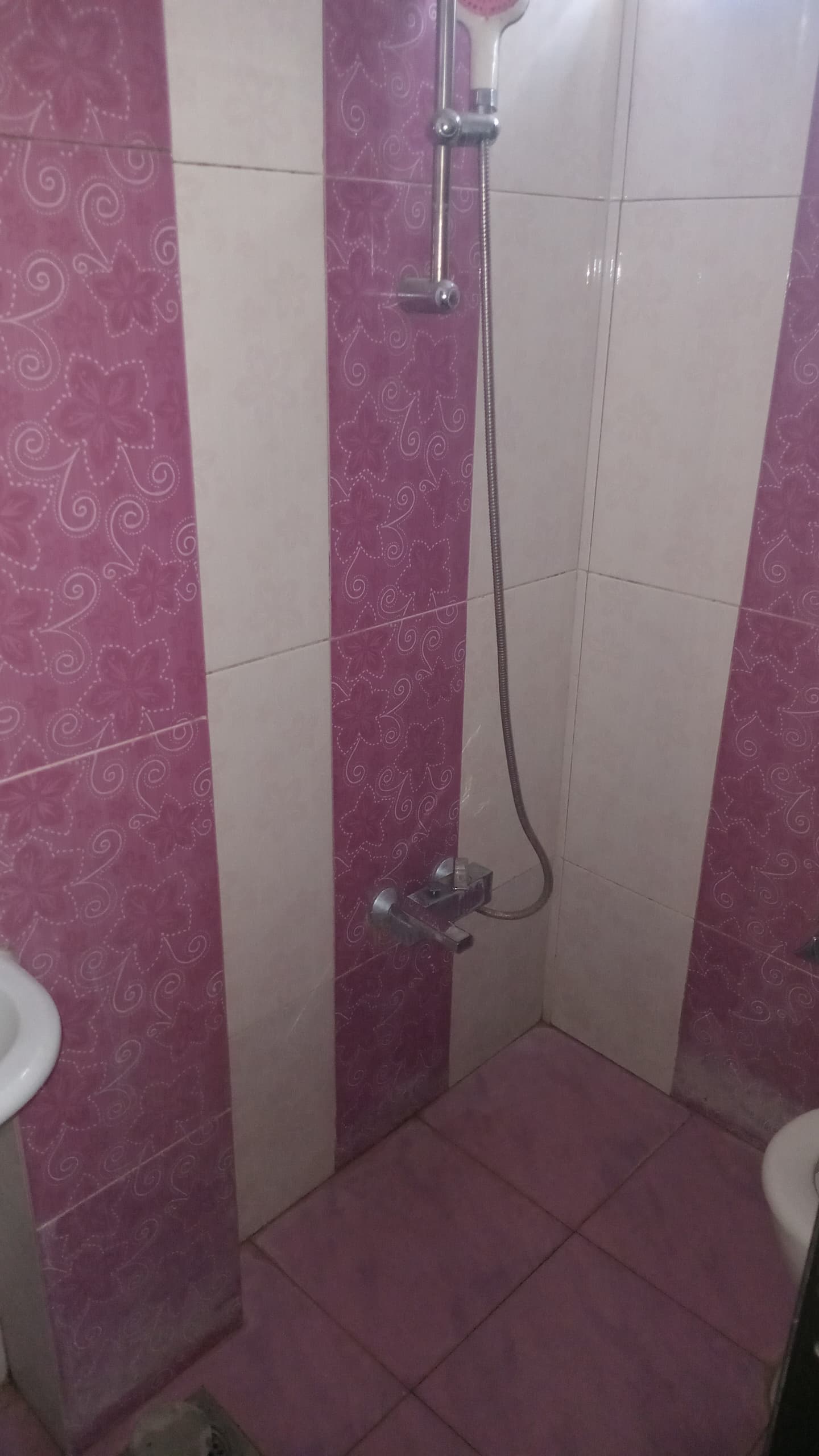 الصورة
