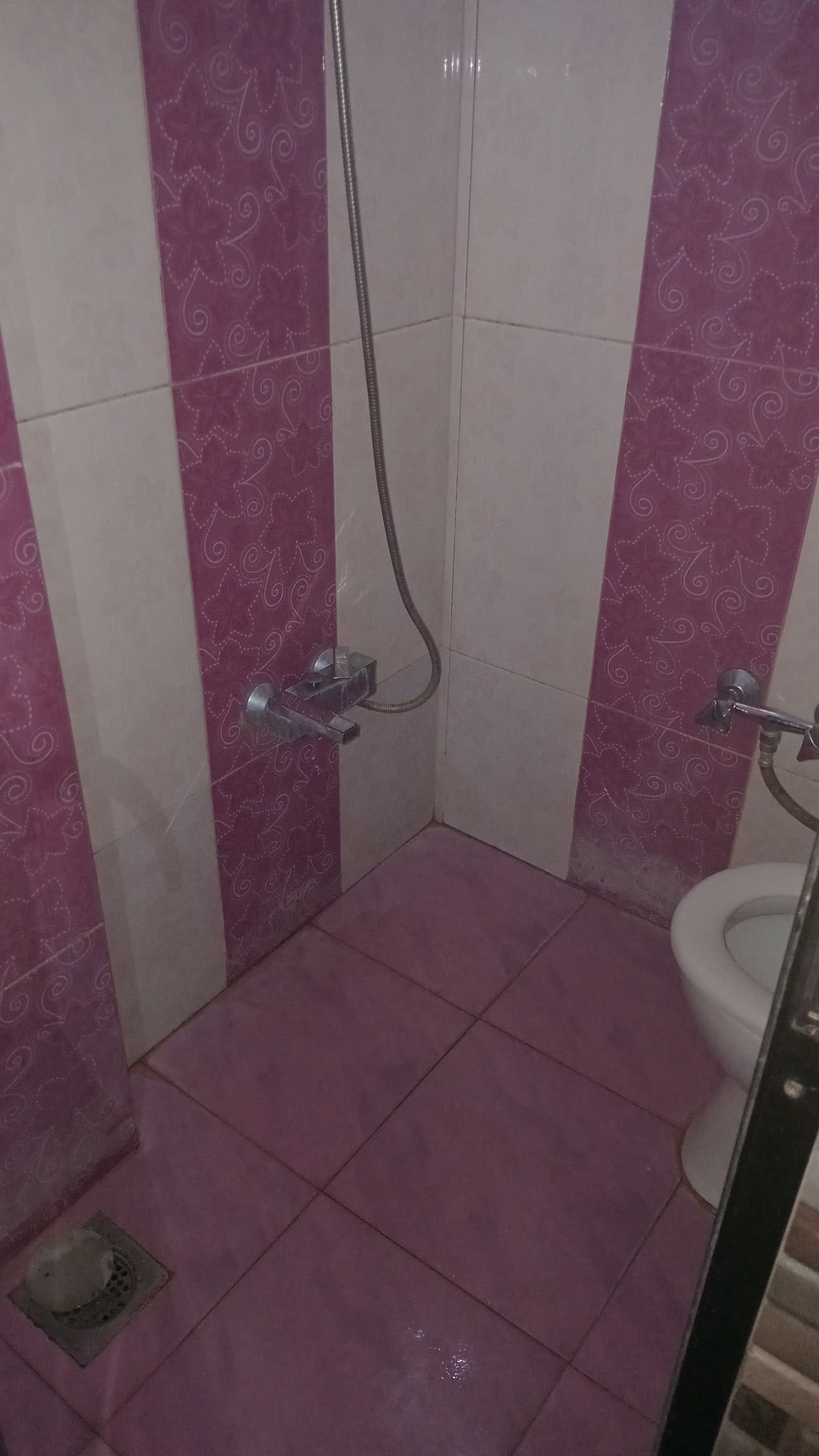 الصورة