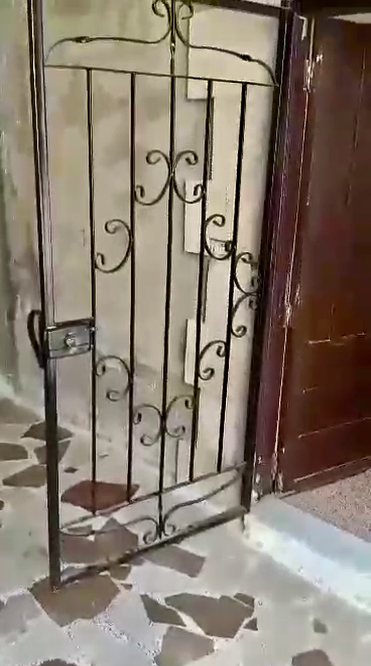 الصورة