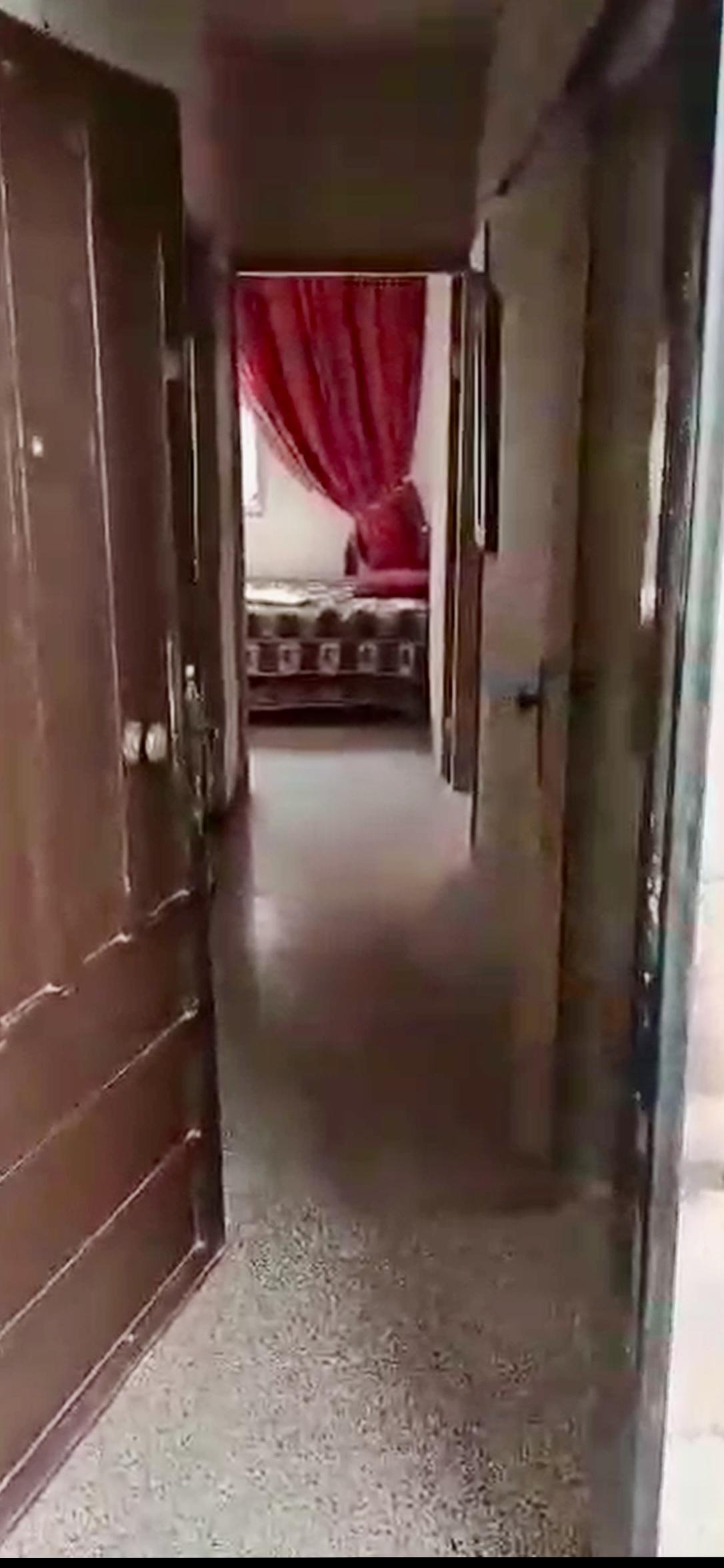 الصورة