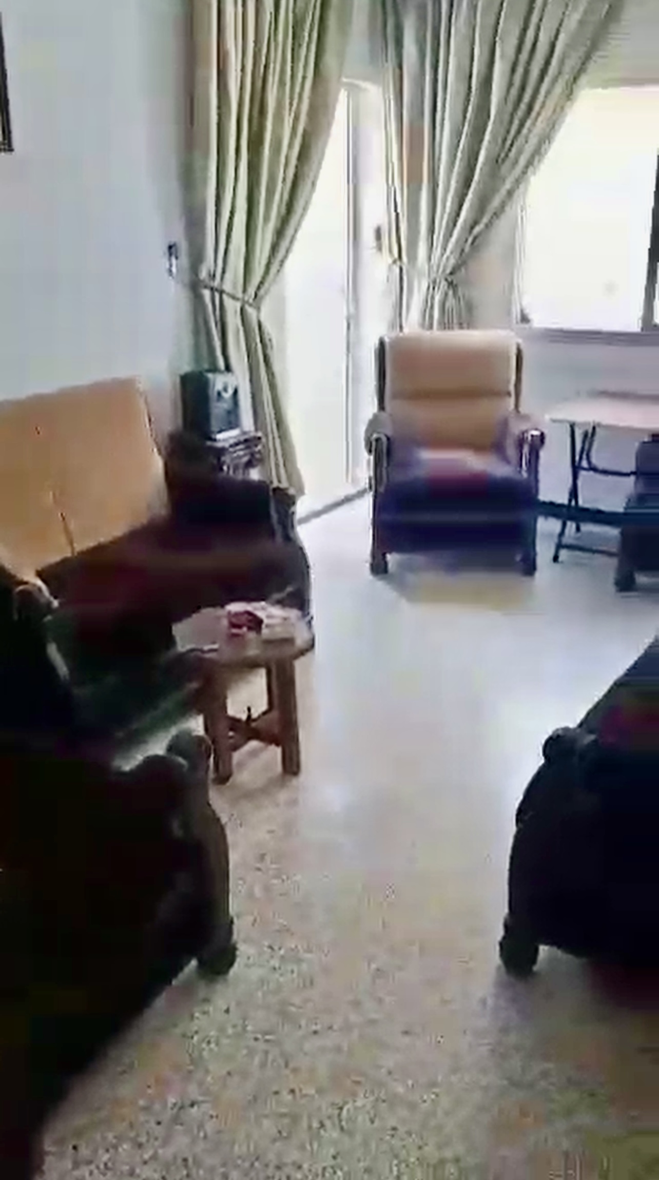 الصورة