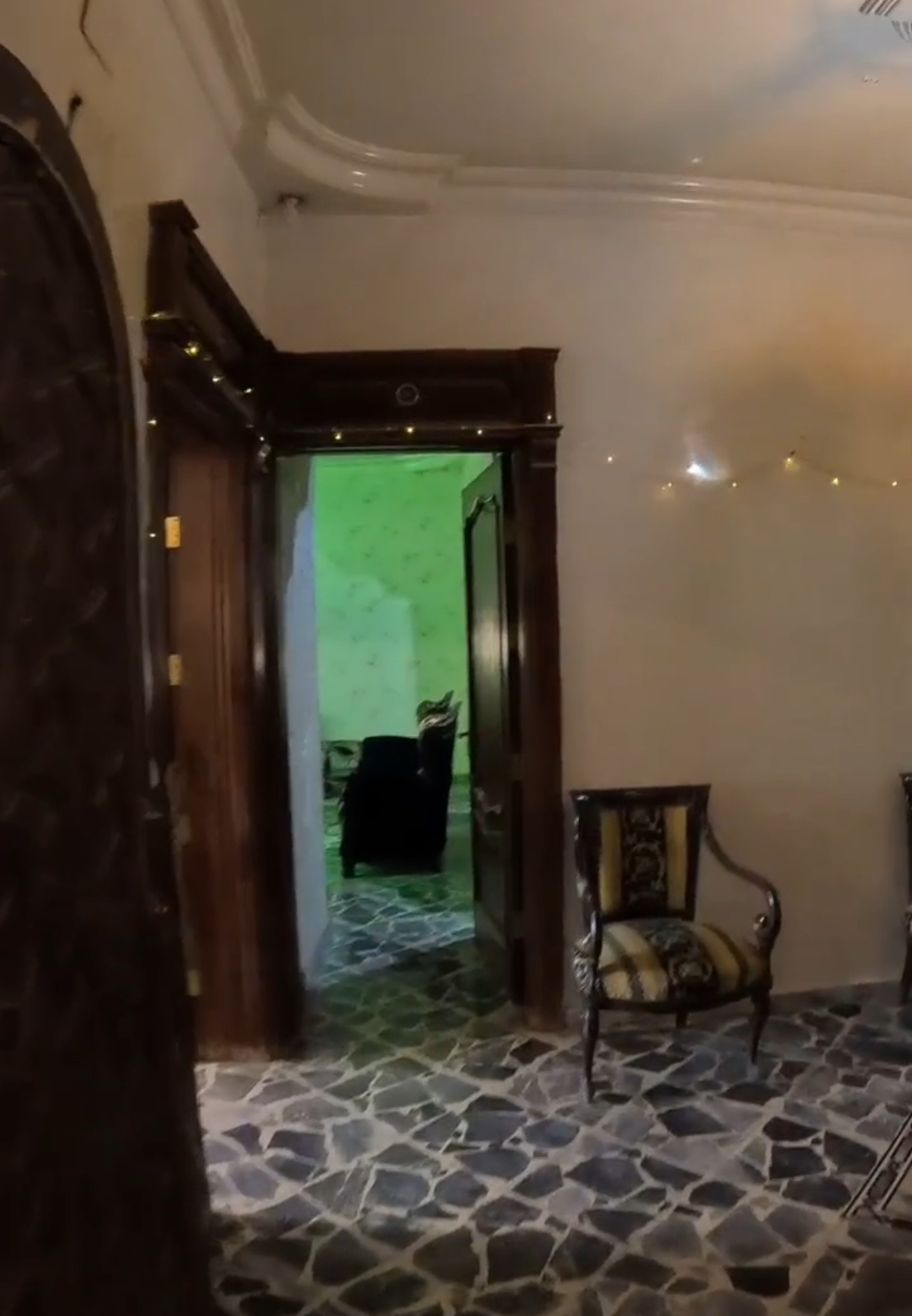 الصورة