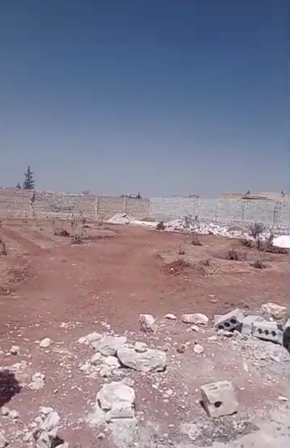 الصورة